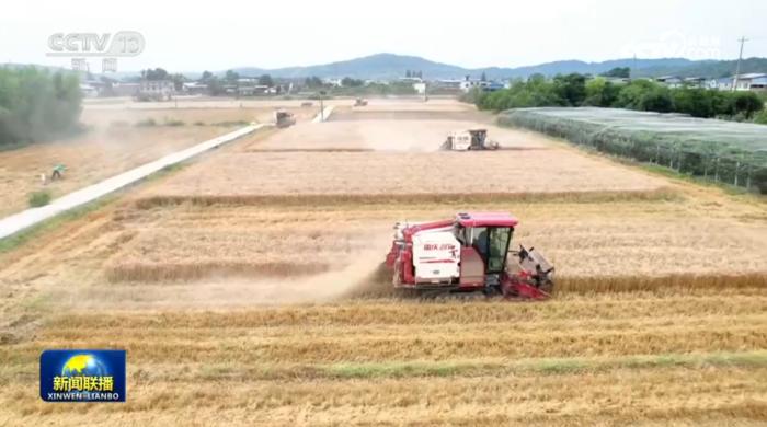 娛樂城：【一線調研】信息流背後的精準麥收