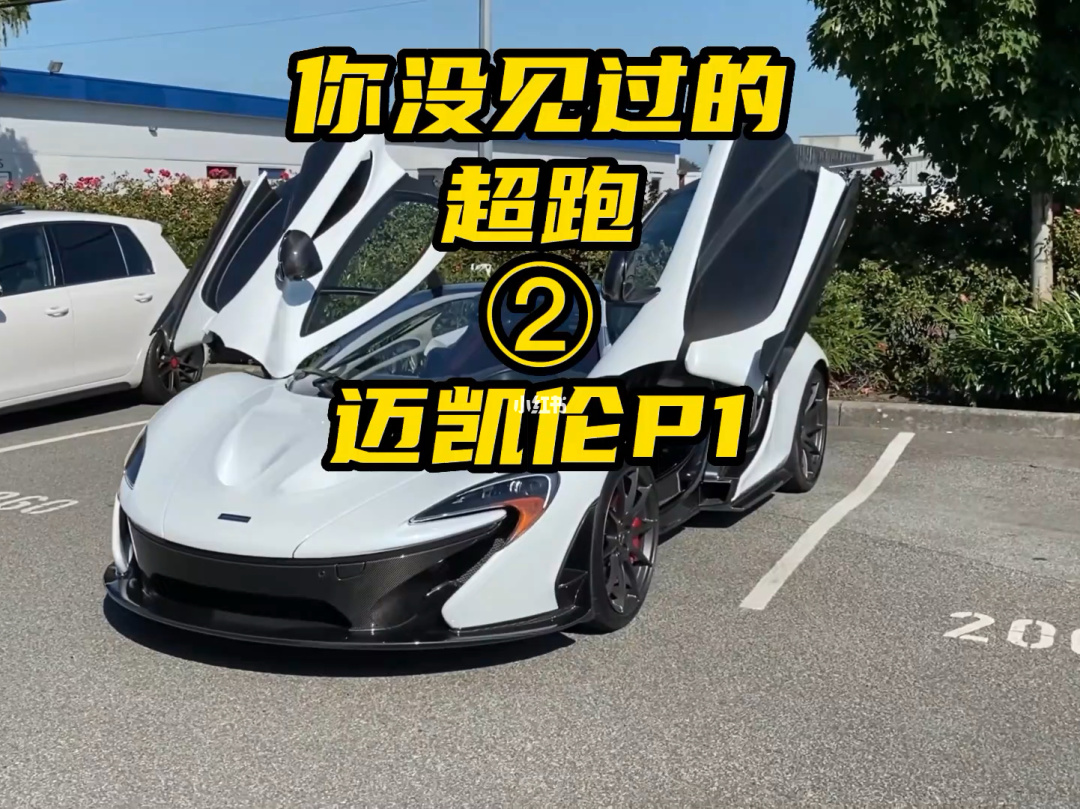 {捕魚機}(购买迈凯伦p1的要求有哪些)