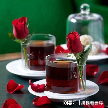 有品味生活的唯美句子（品味生活的唯美句子简单）